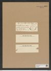 Euodia chimmioana O'Meara (de-Toni-Nr.: Genus 210, Species 5297) Zeichnungen Sammlung Grunow Nr. 9111 (NHMW-BOT-W0378876)